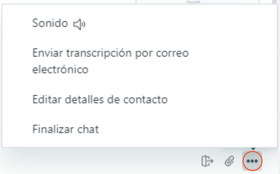 Menú de opciones del chat